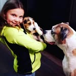 Walter&Harley - @walter_harley_pupps - Instagram