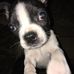 Walter Harman - Facebook