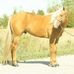 Walter Harmon Reed - Facebook