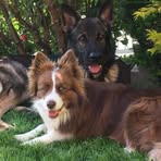 Walter Haug - Facebook