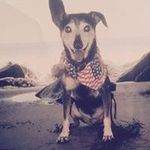 Walter Hay - @walterhay - Instagram