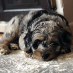 Walter Hedstrom - @__wallys__world__ - Instagram