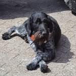 Walter Helms - @walter.helms.0851 - Instagram