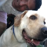 Walter henriquez - @walterhenriquez3994 - Instagram