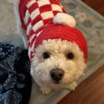 Walter Flapjack Higgins - @wallieflapjack - Instagram
