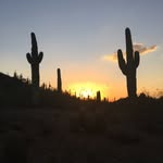 Walter Higgins - @wrhiggins - Instagram