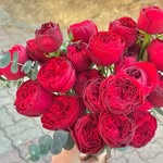 Walter Hillary - @walterhillary453 - Instagram