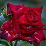 walter Hillary - @mypersonalas - Instagram