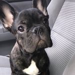 Walter Holt - @lifeofwalterholt - Instagram