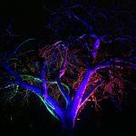 Walter Holt - @installations_of_light_ - Instagram
