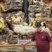 Walter Holtzapple - Facebook