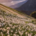 Walter Hudson - @walterhudson680 - Instagram