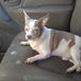 Walter Hudson - Facebook