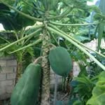 Walter Jacques - @walter.jacques - Instagram