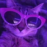Walter Jacques - @gonkdroid.20 - Instagram