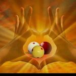 Wap Janssen - @walterjanssen - Instagram