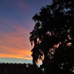 Walter Jeffords - @walter.jeffords - Instagram