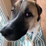 Walter Jolly - @therealwalterjolly - Instagram
