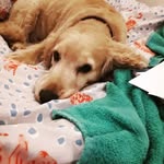 wren jolly-walter - @wrenjollywalter - Instagram