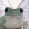 kasharawwalter - @kasharawwalter - TikTok