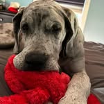 Walter - @walter_keepin_it_real - Instagram