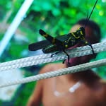 @walterkeegan14 - Instagram