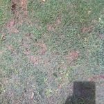 Walter keefe - @keefe_walter - Instagram