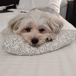 Walter G. Kempf - @wally_wally_k - Instagram