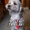 walterkessler678 - @walterkessler678 - TikTok