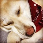 Walter W. Keyes - @walterwhitekeyes - Instagram