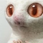 Walter Kimbáll - @hella_creepy - Instagram