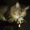 Walter Kimball - @walter.kimball - TikTok