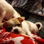 Wally Ladd - @walterladd - Instagram