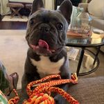 Walter - @therealwalterlancaster - Instagram