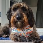 @walter_langhorne - Instagram
