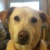 Walter Langille - Facebook