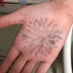 Walter Lau - @38walter - Instagram