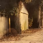 Walter Lausen - @walter.lausen - Instagram