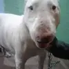 walterlaymez881 - @walterlaymez881 - TikTok