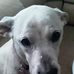 Walter Leary - Facebook