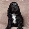 LesterWalter - @lesterwalter - TikTok
