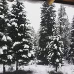 Walter Lester - @wallylester - Instagram