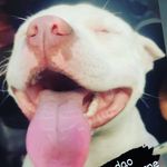 Walter Lima - @walter__lima - Instagram