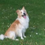Walter Lippens - @walterlippens - Instagram