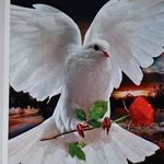 Walter Lippi - @walter.lippi - Instagram