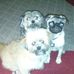 Jay Littrell - Facebook