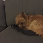 Walter Lock - @lockwalter - Instagram