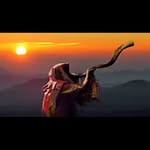 Walter Lodi - @walter.lodi.564 - Instagram
