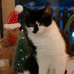 Walter Lohmann - @walter606647 - Instagram