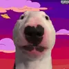 WatermelonWalter - @walterlooks - TikTok